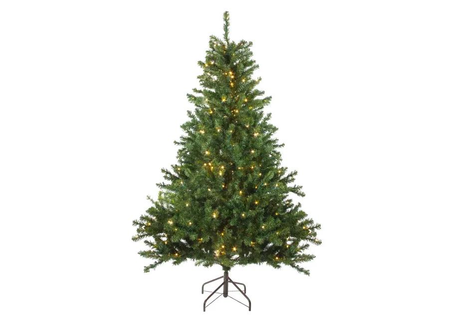 10' Pre-Lit Medium Canadian Pine Candlelight LED Artificial Christmas Tree - Clear Lights