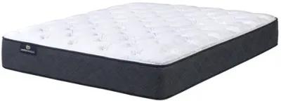 Perfect Sleeper Bluestem Plush Full Mattress