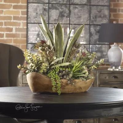 Uttermost Salar Succulents In Teak Bowl