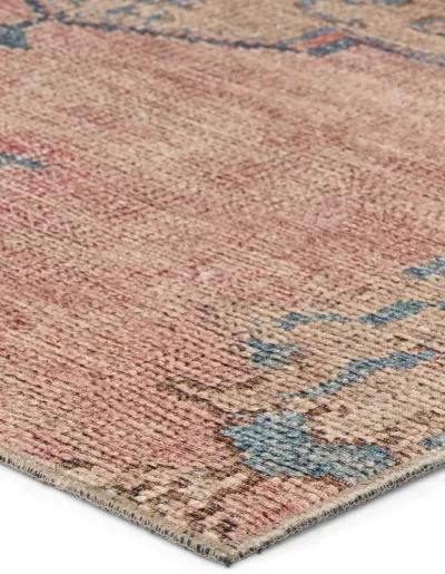 Canteena Clanton Pink 4'2" x 6' Rug