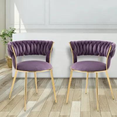 Leisure Dining Chairs With Set of 2