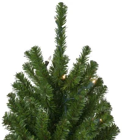 Set of 3 Pre-Lit Slim Alpine Artificial Christmas Trees 6' - Clear Lights