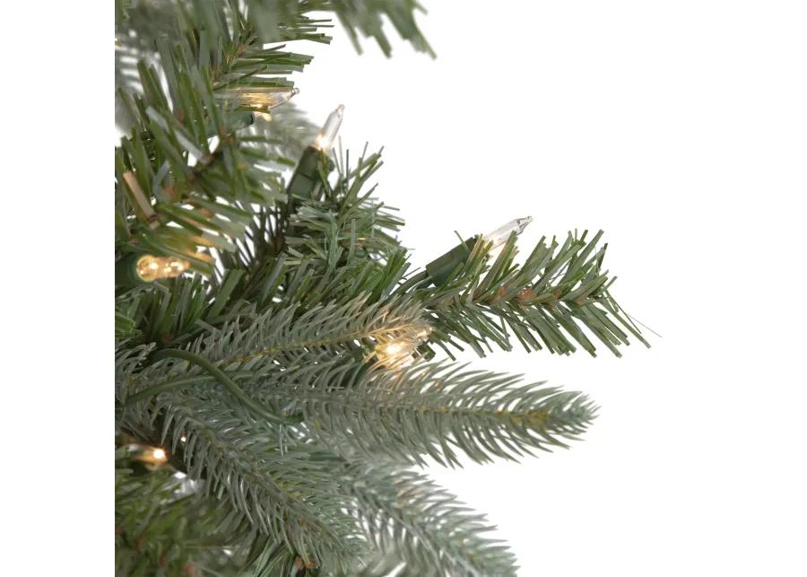 9' Pre-Lit Granville Fraser Fir Artificial Christmas Tree  Clear Lights