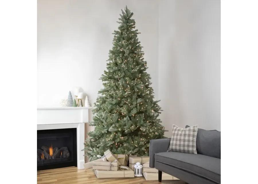 9' Pre-Lit Granville Fraser Fir Artificial Christmas Tree  Clear Lights