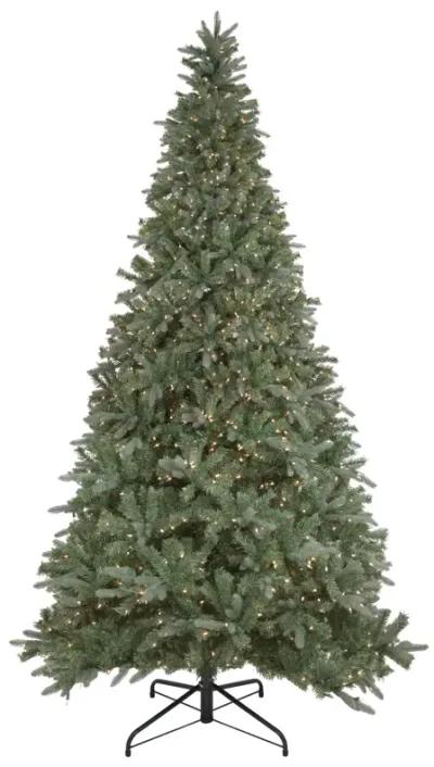 9' Pre-Lit Granville Fraser Fir Artificial Christmas Tree  Clear Lights