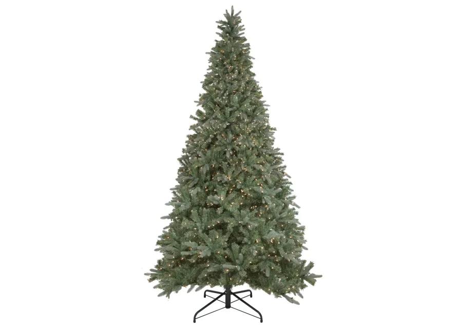 9' Pre-Lit Granville Fraser Fir Artificial Christmas Tree  Clear Lights