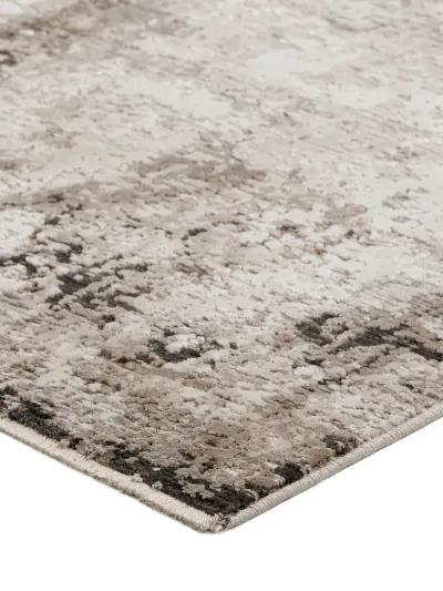 Denizi DZ2 Putty 9' x 13'2" Rug