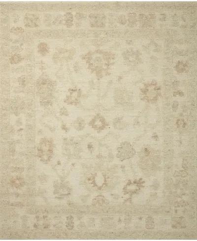 Emilia EMI01 Ivory/Clay 9'6" x 13'6" Rug