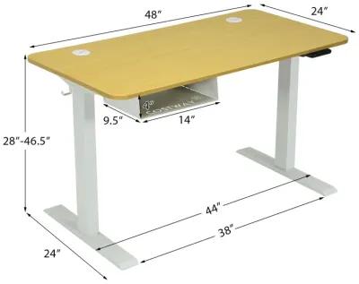 48-Inch Electric Standing Adjustable Desk with Control Panel and USB Port-Natural