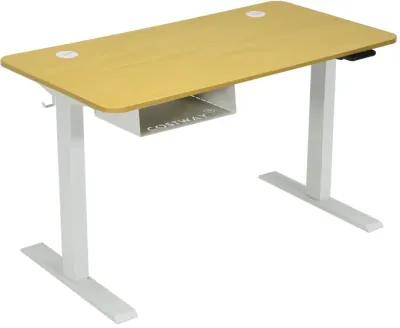 48-Inch Electric Standing Adjustable Desk with Control Panel and USB Port-Natural