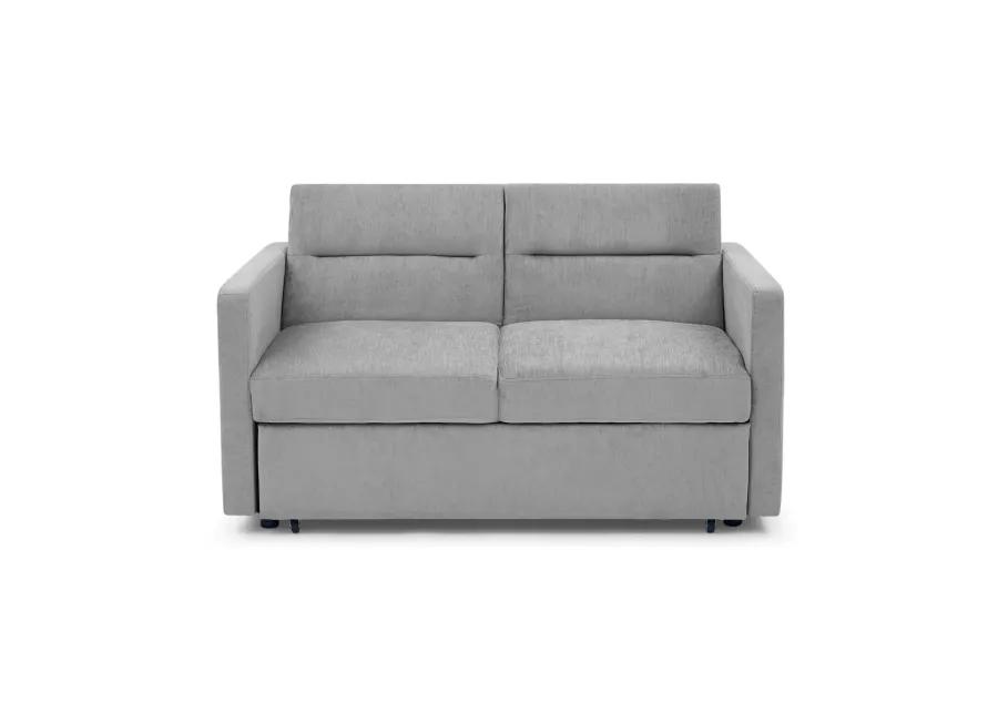 Loveseats Sofa Bed With Pull-Out Bed, Adjustable Back And Two Arm Pocket