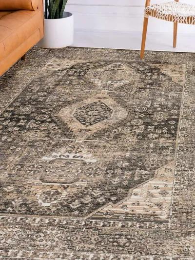 Odessa OD2 Graphite 9' x 12'6" Rug