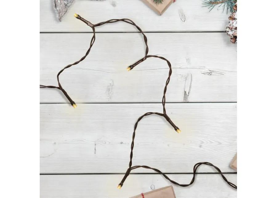 10 B/O Warm White LED Wide Angle Christmas Lights - 3 ft Brown Wire