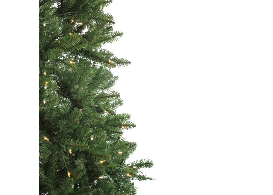 12' Pre-Lit Instant Connect LED Neola Fraser Fir Artificial Christmas Tree - Multicolor Lights