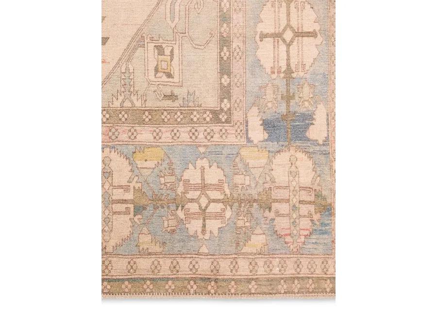 Savine Kindred 6'x9' Rug