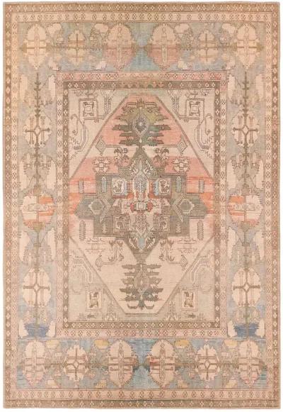 Savine Kindred 6'x9' Rug