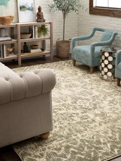 Touchstone Le Jardin Willow gray 8' X 11' Rug