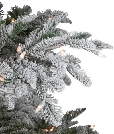 6.5' Pre-Lit Full Flocked Whistler Noble Fir Artificial Christmas Tree - Clear Lights