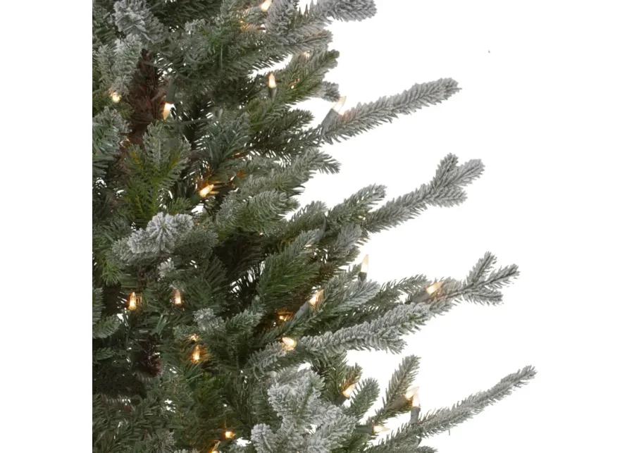 6.5ft Pre-Lit Flocked Little River Fir Artificial Christmas Tree - Clear Lights