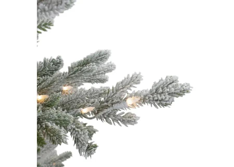 6.5ft Pre-Lit Flocked Little River Fir Artificial Christmas Tree - Clear Lights