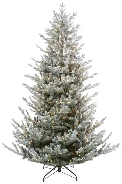 6.5ft Pre-Lit Flocked Little River Fir Artificial Christmas Tree - Clear Lights