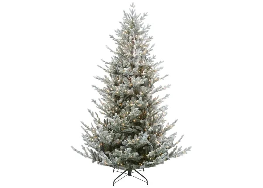 6.5ft Pre-Lit Flocked Little River Fir Artificial Christmas Tree - Clear Lights