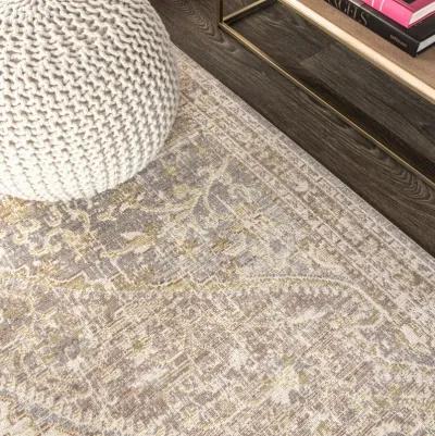 Petras Modern Ornate Medallion Area Rug