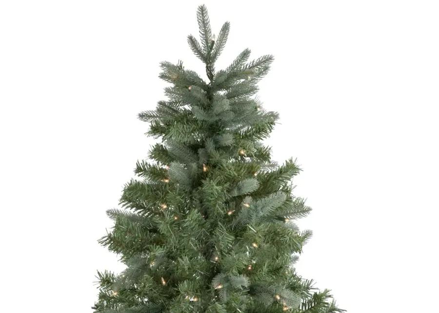 10' Pre-Lit Slim Granville Fraser Fir Artificial Christmas Tree  Clear Lights