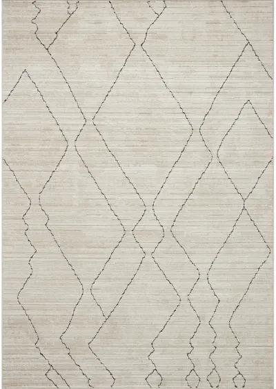 Darby DAR03 Sand/Charcoal 4' x 6' Rug