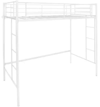 Hivvago Twin Loft Bed Frame with 2 Ladders Full-length Guardrail