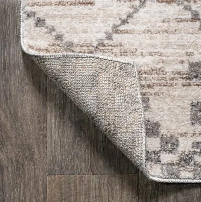 Asilah Moroccan Modern Diamond Area Rug