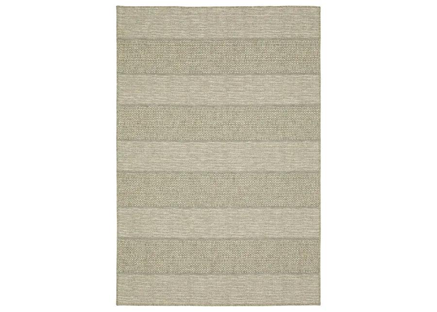 Tortuga 9'10" x 12'10" Beige Rug