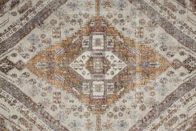 Percy 39ANF Ivory/Orange/Brown 4' x 6' Rug