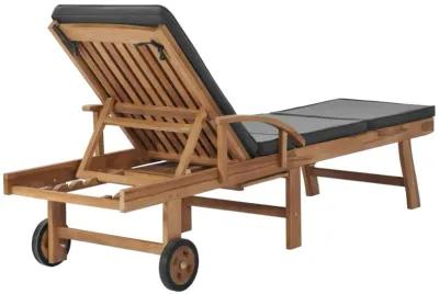 vidaXL Sun Lounger with Cushion Solid Teak Wood Dark Gray