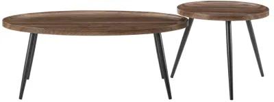 Paxton Nesting Raised Lip Edge 2 Piece Coffee Table Set with Modern Black Metal Taper Legs - Round and Oval