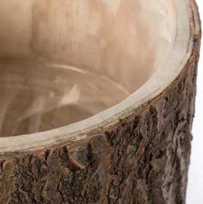 Wooden Stump Tree Log with Bark Planter Pot with Small Tree Branch Legs