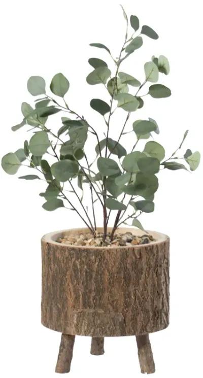 Wooden Stump Tree Log with Bark Planter Pot with Small Tree Branch Legs