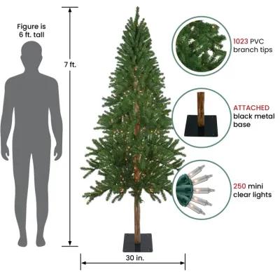 7' Pre-Lit Medium Alpine Artificial Christmas Tree  Clear Lights