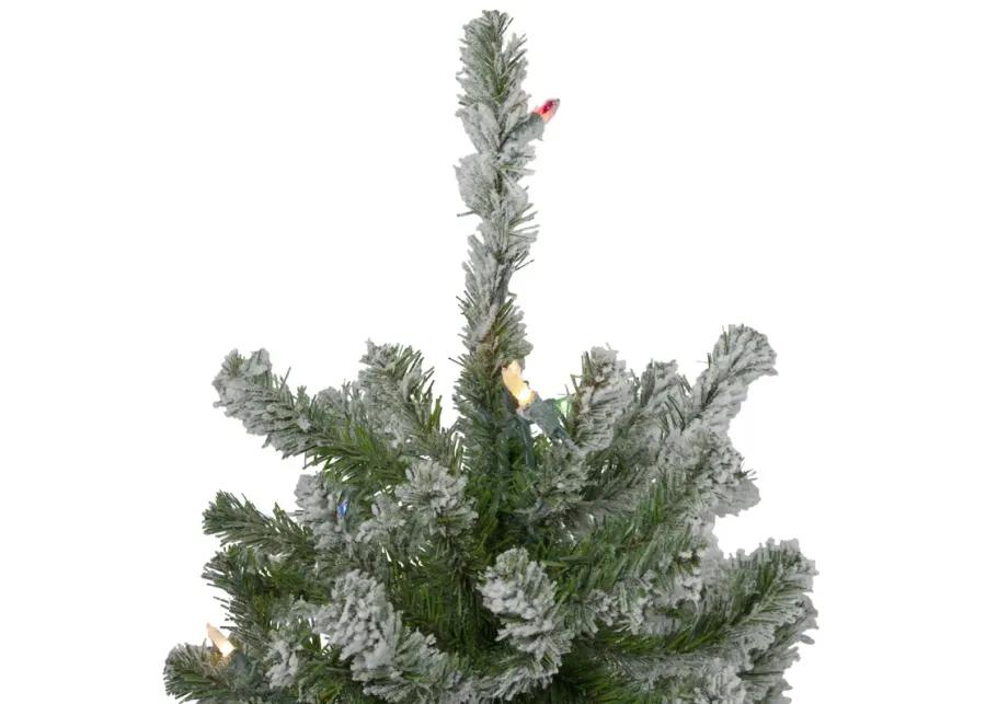 Set of 3 Pre-Lit Flocked Alpine Artificial Christmas Trees 5' - Multi Lights