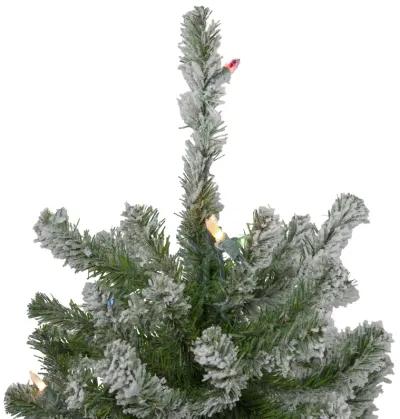 Set of 3 Pre-Lit Flocked Alpine Artificial Christmas Trees 5' - Multi Lights