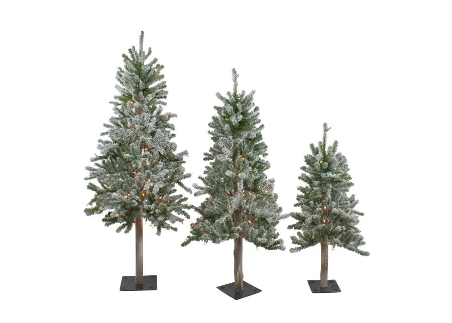 Set of 3 Pre-Lit Flocked Alpine Artificial Christmas Trees 5' - Multi Lights