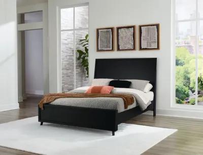 Danziar Queen Panel Bed