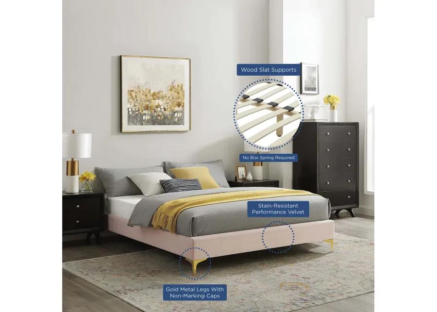 Modway - Sutton King Performance Velvet Bed Frame