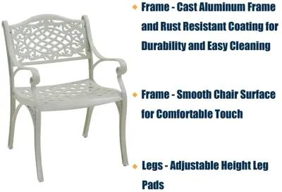 MOMDAWE Cast Aluminum Stationary Dining Chairs Outdoor Dining Armchair（Set of 2）