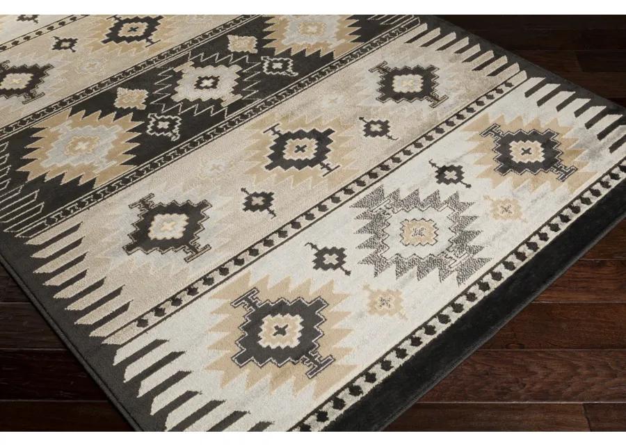 Paramount PAR-1046 8'10' x 12'10' Black Rug