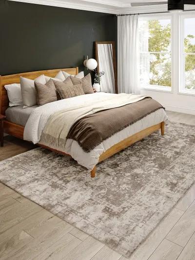 Antalya AY2 Taupe 3'3" x 5'3" Rug