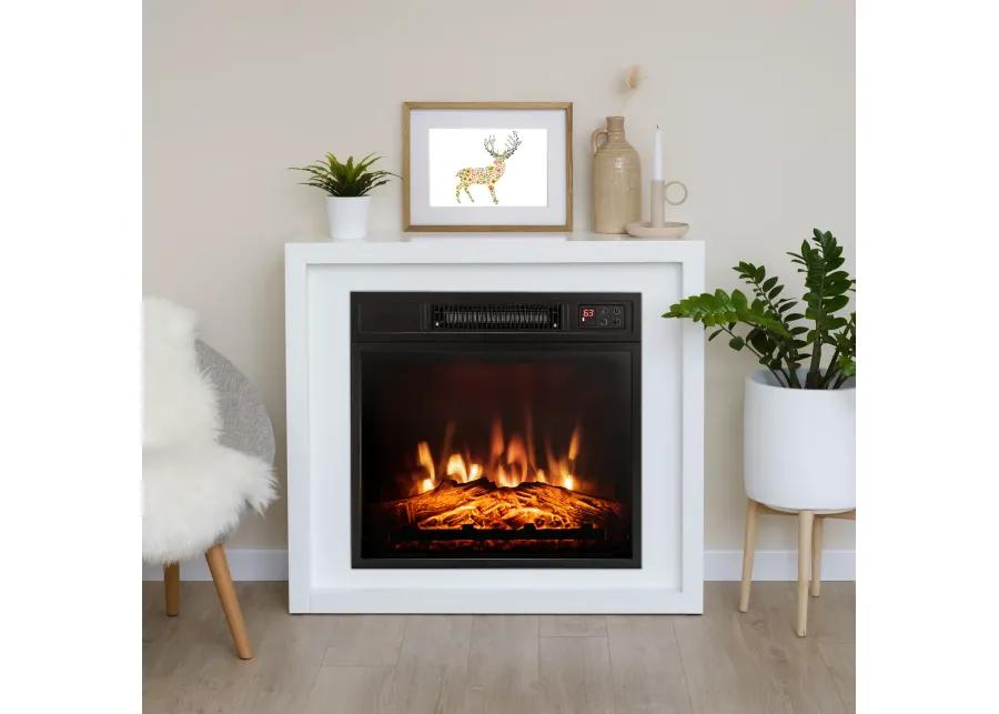 Electric Fireplace Inserted with Adjustable LED Flame