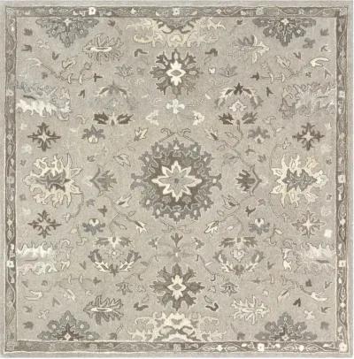 Caesar CAE-1197 8' Square Gray Rug