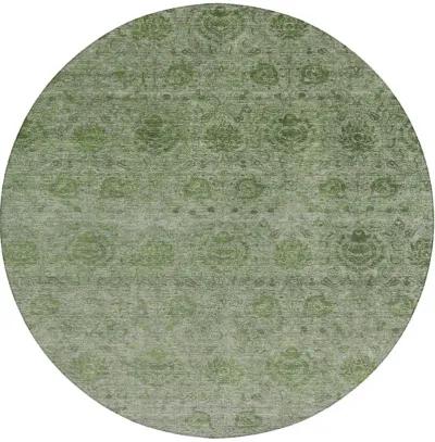 Burano BU8 Olive 8' Rug