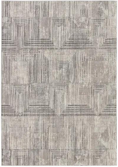 Graphite Sublime Gray 2'8" x 8' Runner Rug